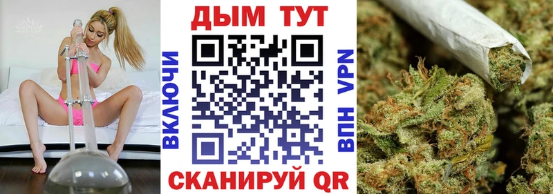 Канабис семена наркотики Ленинск-Кузнецкий
